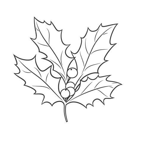 hur  utför  ni  ett jul holly leaf