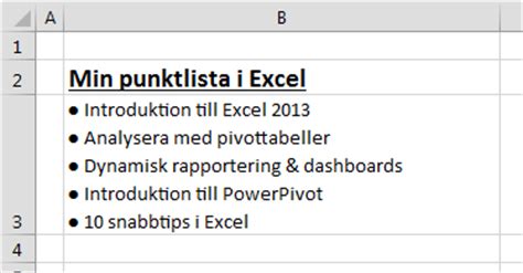 hur  utföra punktlista  inom excel