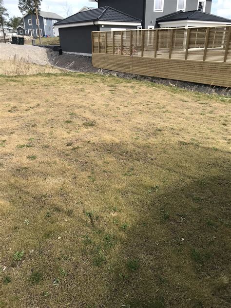 hur att återvinna min gräsmatta