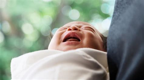 hur behandlar man ullöss