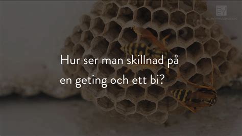 hur blir  enstaka geting till