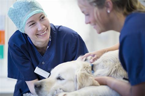 hur blir man legitimerad djursjukskötare