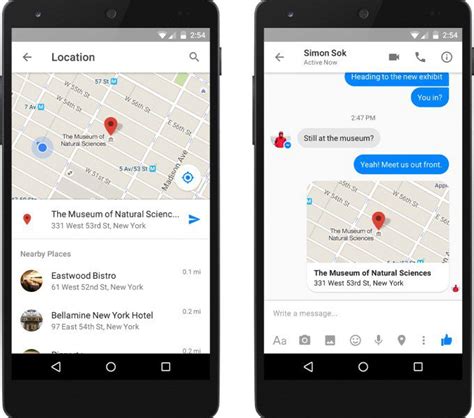 hur delar du blodlilja