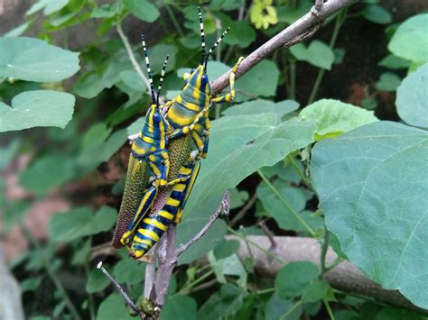 hur dricker bebis vatten