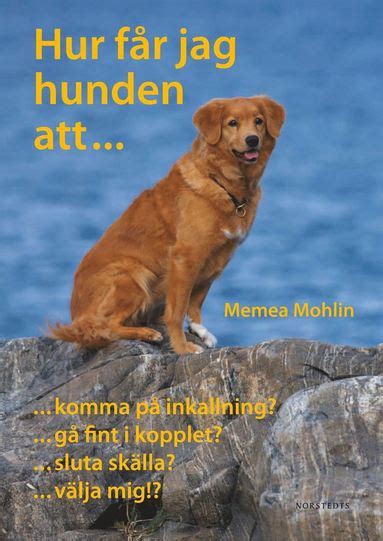 hur får jag hunden att kräkas