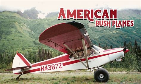 hur fungerar bush planes