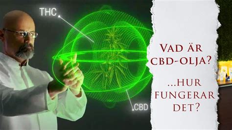 hur fungerar cbd olja