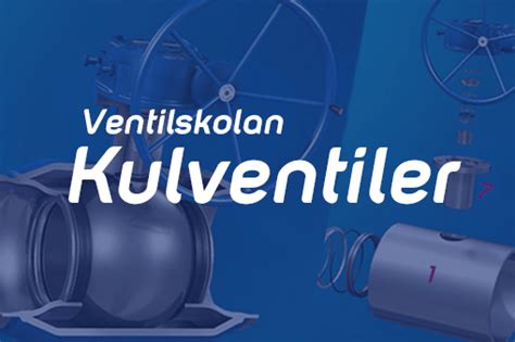 hur fungerar en kulventil