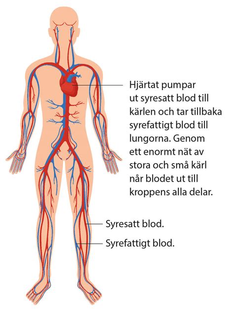 hur fungerar modulo