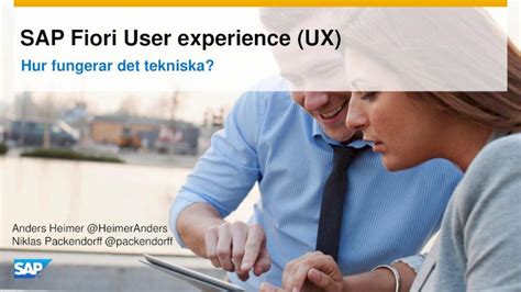 hur fungerar sap
