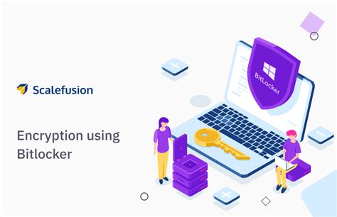 hur hittar jag bitlocker