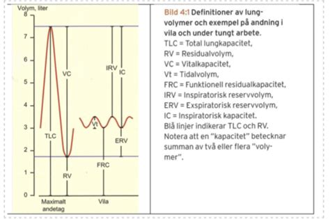 hur kan man testa sin lungkapacitet