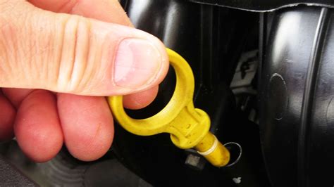 hur kontrollerar du quackgrass