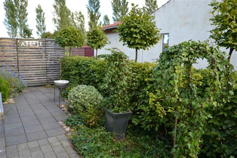 hur man bevarar vintergröna