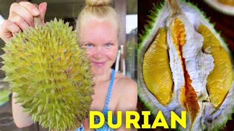 hur man groddar durian frön