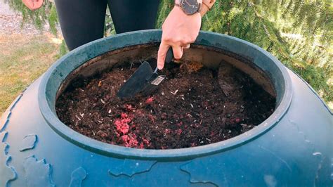 hur man komposterar mat