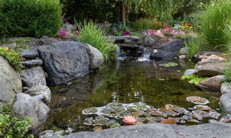 hur man underhåller damm