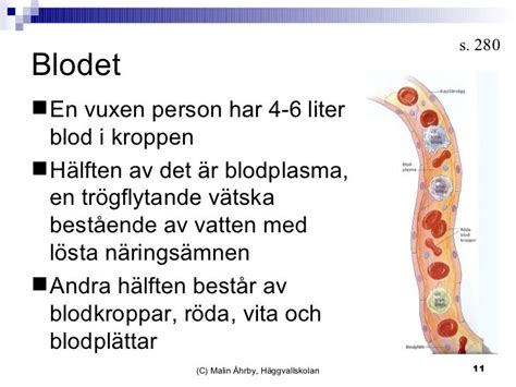 hur mycket blod tar
