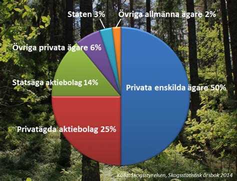 hur mycket skog äger kyrkan i sverige