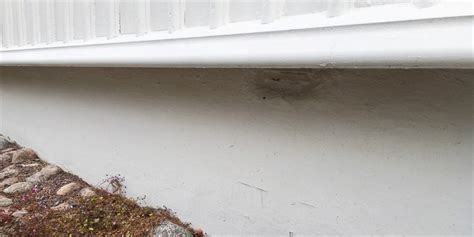 hur ofta måla sockel