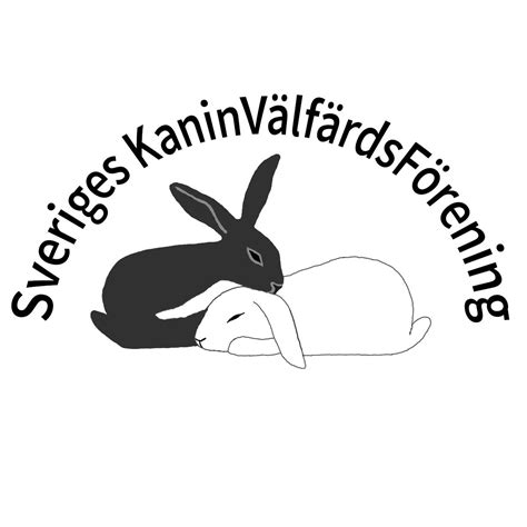 hur ofta ska kaniner