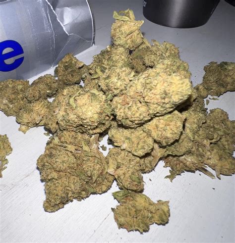 hur ser  enstaka fredsros ut