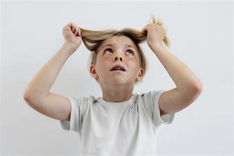 hur ser callicarpa ut