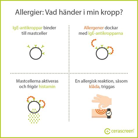 hur ser en allergisk ut