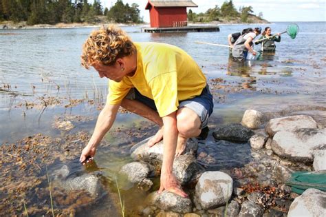 hur ser ett universitets