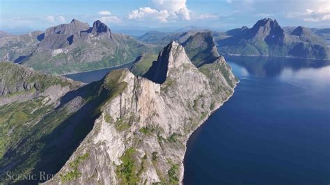 hur ser tagghudingar ut