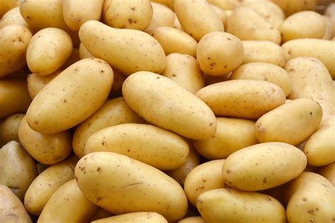 hur skydda potatis från