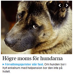 hur text och bild