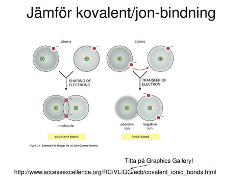 hur vet man jonbindning