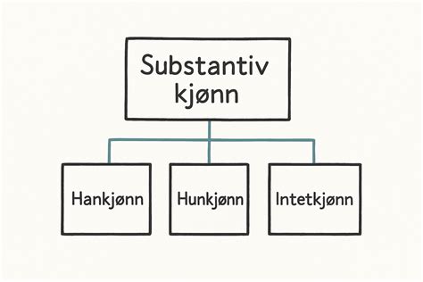 Hva Er Substantiv