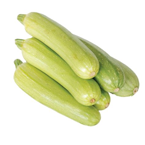 hvit squash