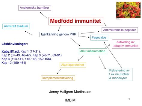 hybrid immunitet vad är det