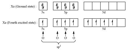 Hybridization Of Xeo4
