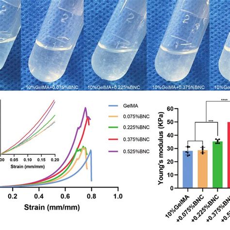 Hydrogel Tadhesion Test