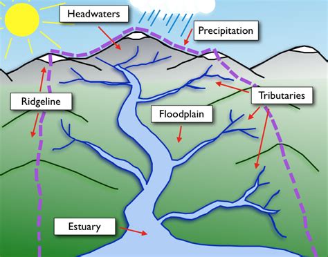 hydrology - How are minor tributaries of a river determined? - Earth …