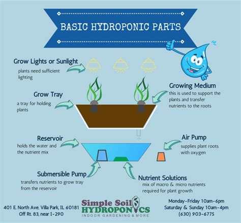 Full Download Hydroponic Basics 