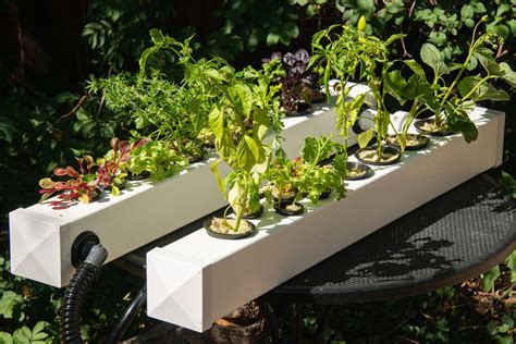 Hydroponics A Complete Diy For Gardening Using Simple Steps Hydroponics Builders For Beginners