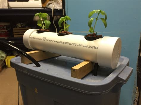 Hydroponics A Versatile System To Study Nutrient Allocation Hydroponics Science Experiment - Hydroponics Science Experiment