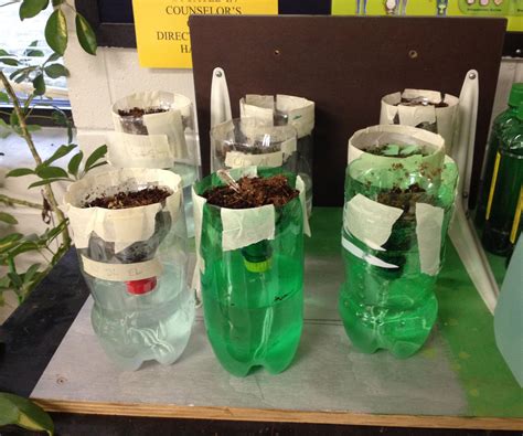 Hydroponics K 12 Experiments And Background Information Julian Hydroponics Science Experiment - Hydroponics Science Experiment
