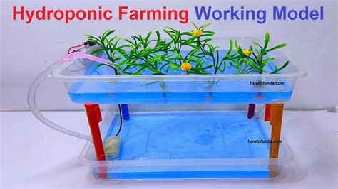 Hydroponics Science Experiment   Science Project Experiment With Hydroponics Use Seedlings Started - Hydroponics Science Experiment