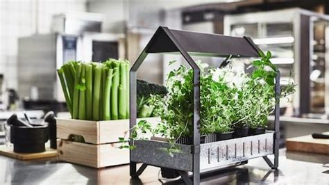hydroponisk odling ikea