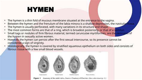 hymen nude