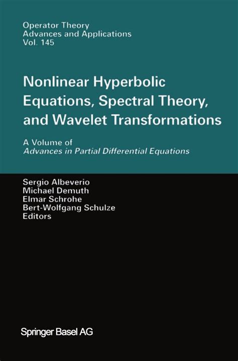 Hyperbolic Partial Differential Equations Nonlinear Theory