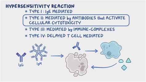 Hypersensitivity Reactions Type 2