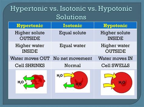 Hypertonic Vs Hypotonic