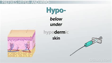 Hypo Medical Term
